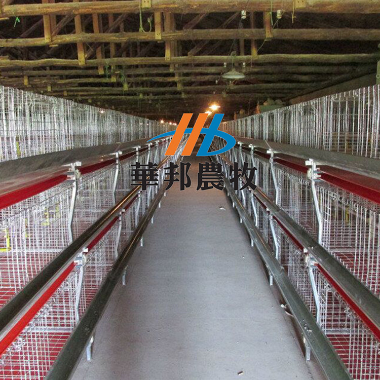 华邦农牧笼具养鸡养鸭自动化设备笼具设备华邦农牧